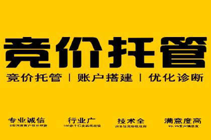 SEM运营公司案例解析：数据分析与优化